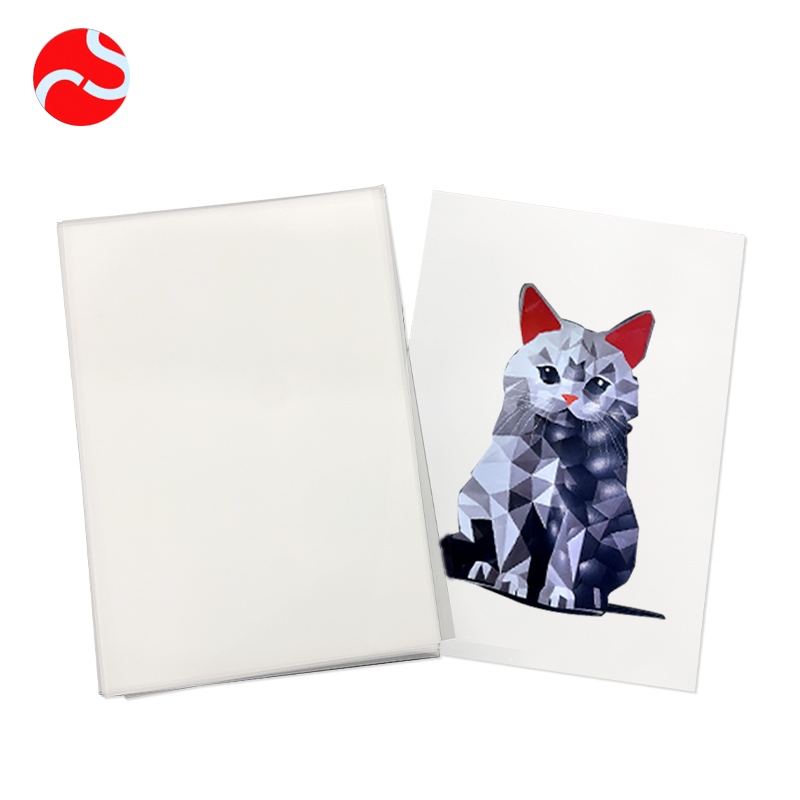 ACS Wholesale DTF Thermal Transfer Film Roll Hot Peel A3 A4 Dtf Heat Transfer Film for Garment Transfer Applications